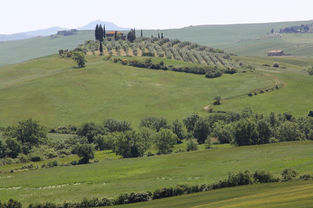 La Terrazza Sulla Val D'Orcia Appartement Castiglione dʼOrcia Buitenkant foto